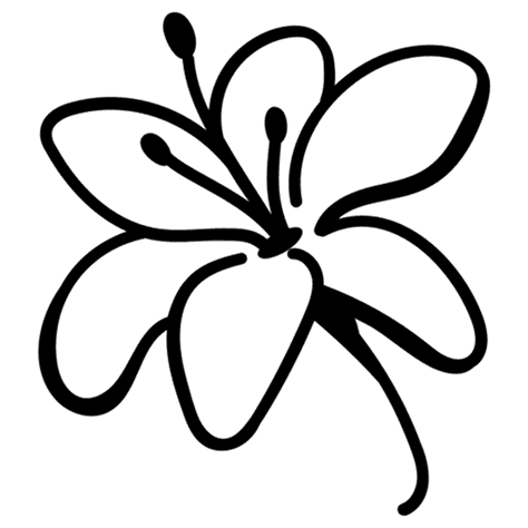 Mission - Fragrance Flower